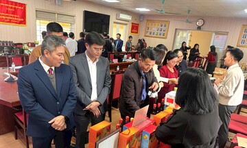 Nghệ An nâng tầm xúc tiến thương mại, hỗ trợ hiệu quả cho doanh nghiệp