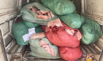Hà Nội: Tiêu hủy 26 bao tải chứa chân gà bốc mùi hôi thối