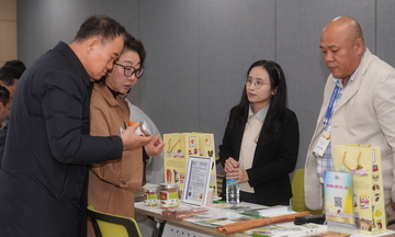 Đà Nẵng: Đổi mới, tăng hiệu quả xúc tiến xuất khẩu