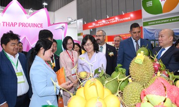 Đồng Tháp đặt mục tiêu năm 2026 công nghiệp tăng 12,5%, xuất khẩu 10 tỷ USD