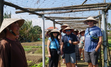 Du khách trải nghiệm làng rau '4 không' tại Đà Nẵng