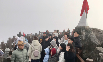 Du lịch Việt Nam sôi động đầu năm 2026