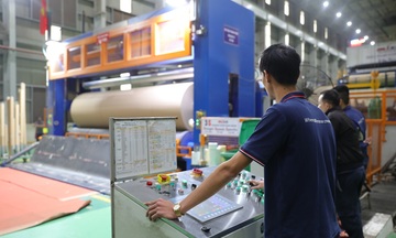 Kinh tế tuần hoàn 'mở lối' phát triển bền vững ngành công nghiệp giấy