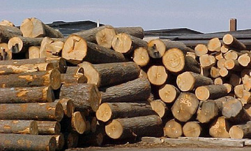 Xuất khẩu gỗ duy trì tăng trưởng, tiến gần mục tiêu cả năm