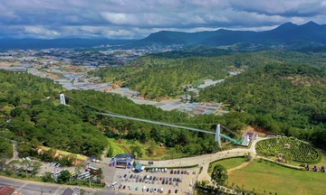 Lâm Đồng công bố số điện thoại đường dây nóng về bảo vệ rừng