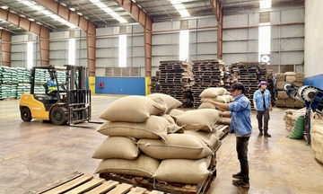 Gia Lai: Xuất khẩu bứt phá, nông sản tiếp tục giữ vai trò 'trụ đỡ'