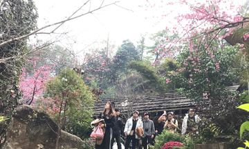 Du lịch Việt Nam: Nâng giá trị trải nghiệm, tạo đà bứt phá mới