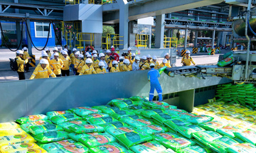 Nhà máy Đạm Cà Mau chạm mốc 12 triệu tấn UREA