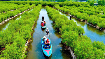 Quảng Ngãi: Du lịch trở thành động lực cho kinh tế nông thôn 