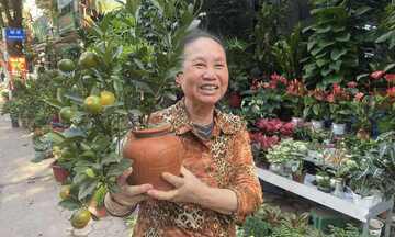 Quất cảnh sẵn sàng 'lên phố', nhà vườn tất bật đón khách 