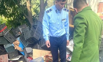 Sơn La: Phát hiện gần 400 kg chân gà, thịt đông lạnh không rõ nguồn gốc