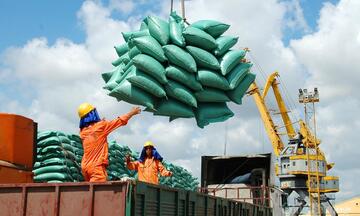 Điều hành xuất khẩu gạo năm 2026: Linh hoạt để giữ thị trường