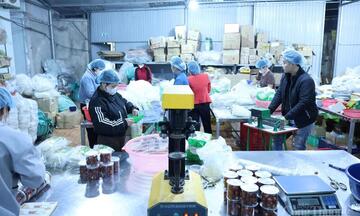 Phát triển thị trường lao động gắn với chuyển đổi 'số và xanh'