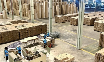 Gia Lai khai mở dư địa tăng trưởng kinh tế