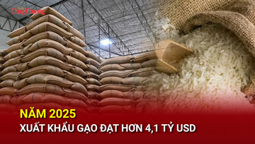 Năm 2025 xuất khẩu gạo đạt hơn 4,1 tỷ USD