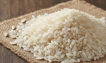 Thấy gì từ hoạt động xuất khẩu gạo 2025?