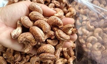 Trung Quốc là thị trường tiêu thụ hạt điều lớn nhất của Việt Nam