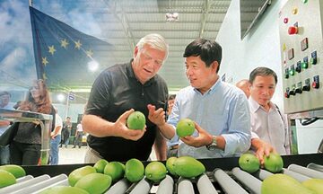 Pháp siết lệnh cấm nhập khẩu nông sản: Doanh nghiệp lưu ý gì?