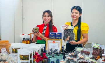 Sơn La: Triển khai nhiều hoạt động xúc tiến thương mại, đầu tư 