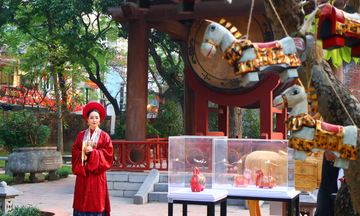 Chiêm ngưỡng ngựa điêu khắc độc bản từ rừng sâu đổ bộ Văn Miếu