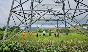 Gỡ 'nút thắt' dự án đường dây 500kV qua Lâm Đồng