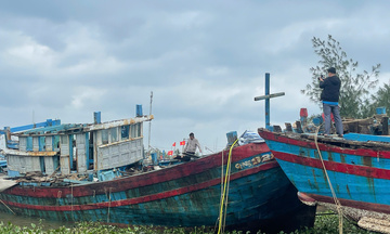Quảng Ngãi: Giảm tàu cá, mở hướng sinh kế bền vững cho ngư dân