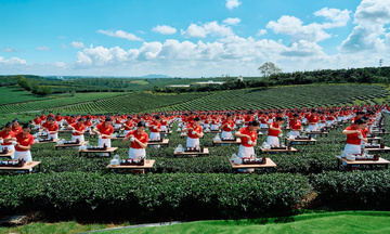 Lâm Đồng tổ chức nhiều hoạt động mừng Đảng, mừng xuân Bính Ngọ