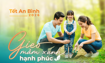 Tết An Bình 2026 trở lại, tiếp nối hành trình gieo mầm xanh cộng đồng