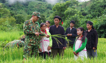 Tuyên truyền sâu rộng về Quân đội tham gia lao động sản xuất