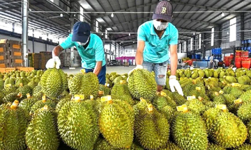 Xuất khẩu rau quả sang Trung Quốc đạt 5,5 tỷ USD năm 2025