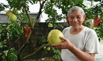 Khi nông sản trở thành cầu nối gắn kết gia đình