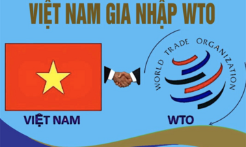20 năm Việt Nam gia nhập WTO và câu chuyện ‘hoà nhập không hoà tan’