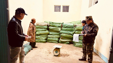 Hải quan liên tiếp xử lý các vụ vận chuyển thực phẩm bẩn, thuốc lá lậu