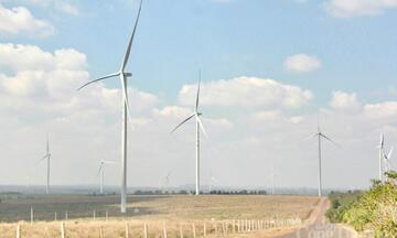 Ngắm cánh đồng điện gió đẹp mê mẩn mùa lá rụng ở Gia Lai