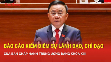 Báo cáo kiểm điểm sự lãnh đạo, chỉ đạo của Ban Chấp hành Trung ương