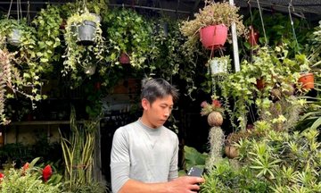 Hà Nội: Phố hoa, cây cảnh rộn ràng không khí Tết