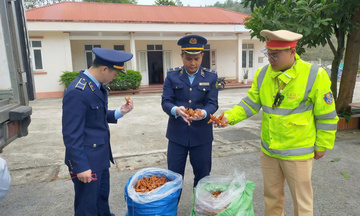 Lạng Sơn: Quyết liệt đẩy mạnh chống buôn lậu, hàng giả dịp Tết 2026