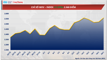 Giá bạch kim bật tăng 5,5%, áp sát đỉnh cuối năm 2025