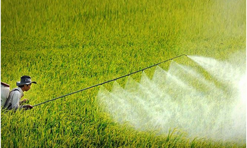 Quy định mới về điều kiện sản xuất, buôn bán thuốc bảo vệ thực vật