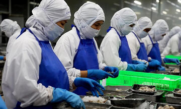 Xuất nhập khẩu Việt Nam - Singapore lập kỷ lục với dấu ấn thương vụ