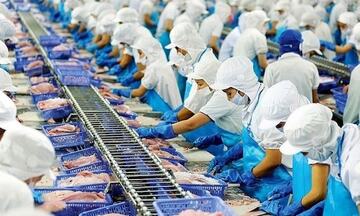 Việt Nam là đối tác cung ứng thủy sản thứ 3 tại thị trường Singapore 