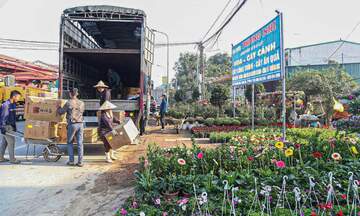 Nghệ An: Nhộn nhịp sản xuất, kinh doanh hàng Tết