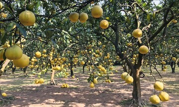 Minh bạch hóa để 'giữ chân' khách hàng