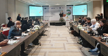 Gạo phát thải thấp mở dư địa mới cho thương hiệu gạo Việt