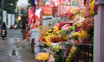 Quảng Ngãi: Mang xuân về cho đặc khu Lý Sơn