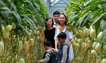 Khi công nghệ kể chuyện nhà vườn và niềm tin đến từ sự minh bạch