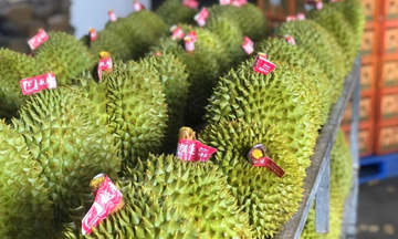 Xuất khẩu rau quả của Việt Nam hướng đến mục tiêu 10 tỷ USD