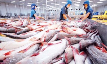 Thủy sản Việt Nam thêm cơ hội tại thị trường Đài Loan (Trung Quốc)