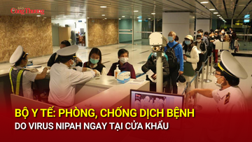 Bộ Y tế: Phòng, chống dịch bệnh do virus Nipah ngay tại cửa khẩu