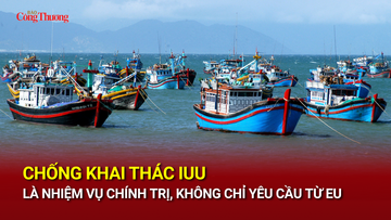 Chống khai thác IUU là nhiệm vụ chính trị, không chỉ yêu cầu từ EU